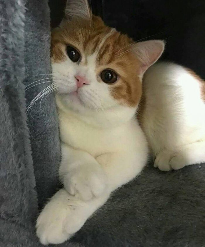 No one's like me????