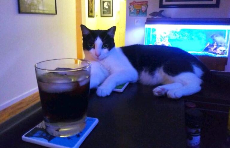 “I don’t always drink whisky. But when I do, it’s on top of my father’s bar like
