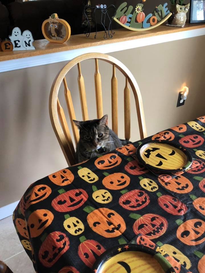 Happy Halloween from Latte