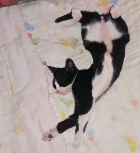 Always sleeping  like this