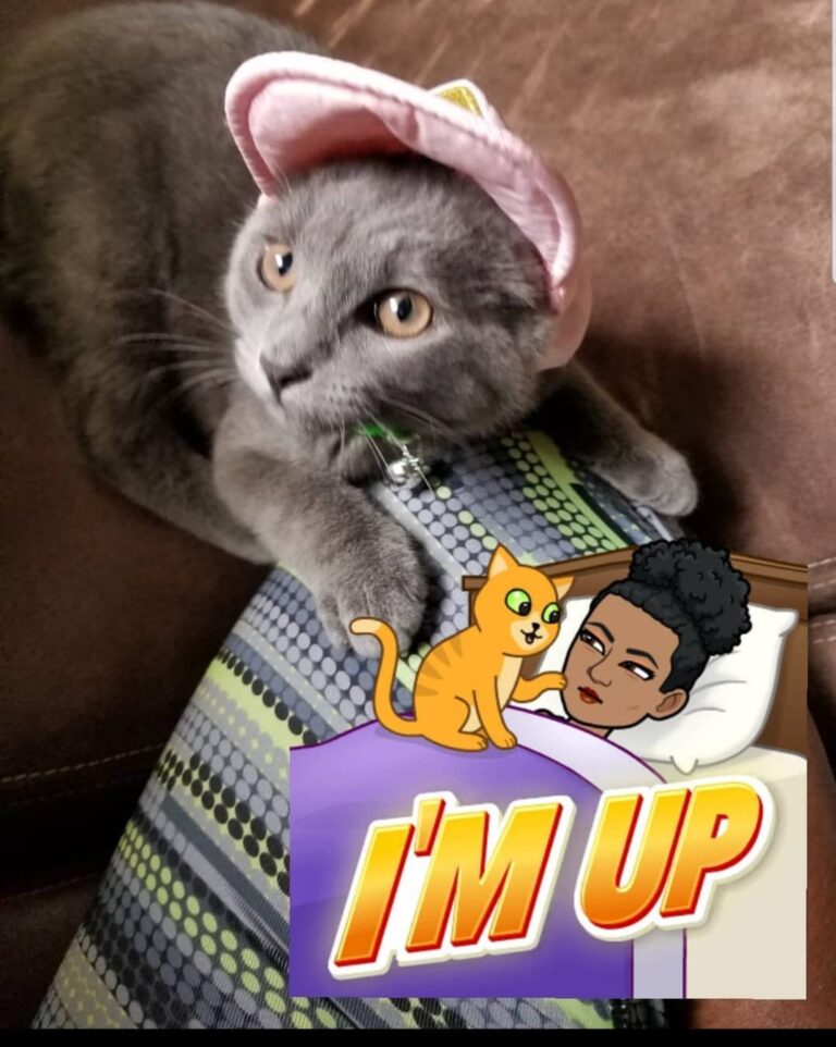 Who else dress up ?zenisa do just for 2 minutes.