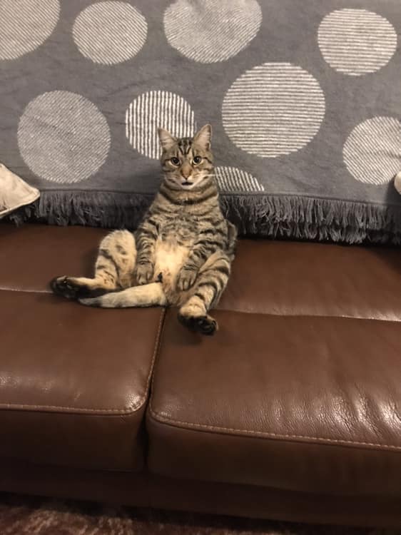 Oliver says hi.