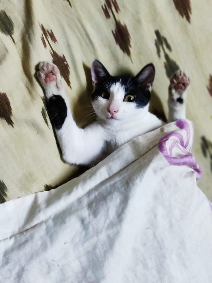 Caught Red handed.... My little Rhyme