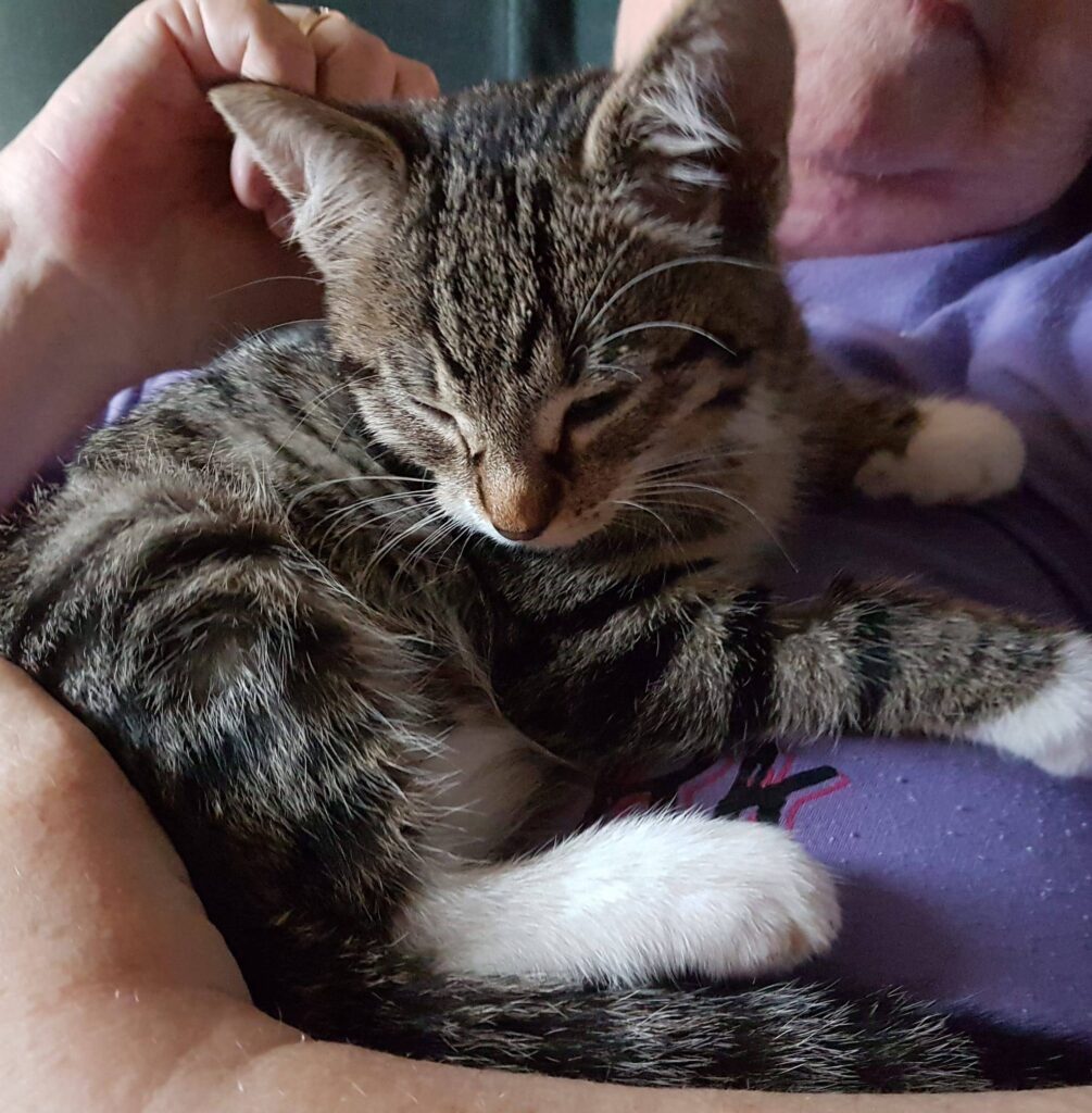 Paige..new member of family...