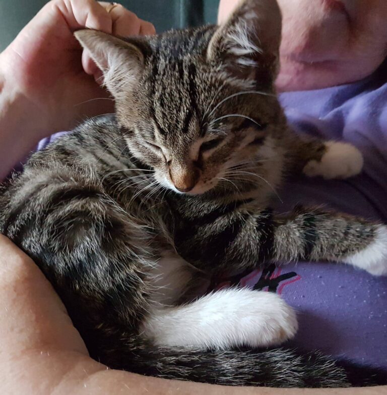Paige..new member of family...