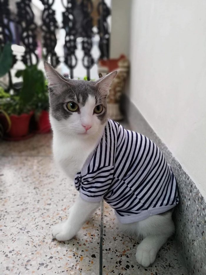 winter is here.....!!!