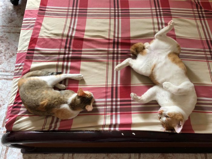 A couple on bed but the girl is not interested. A sad story for him :)