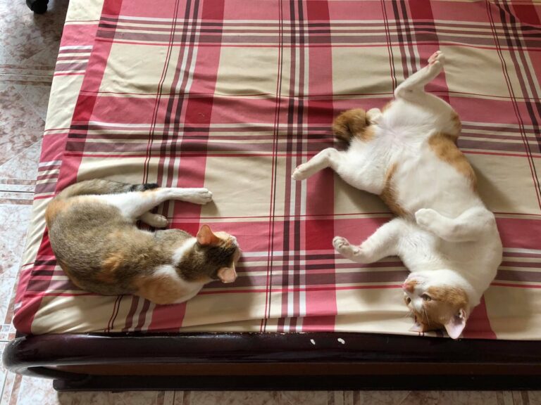 A couple on bed but the girl is not interested. A sad story for him :)