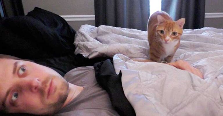 7 Ways Cats Creep You Out! – We Love Cats and Kittens