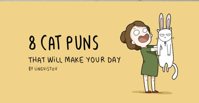 8 Cat Puns That Will Make Your Day – We Love Cats and Kittens