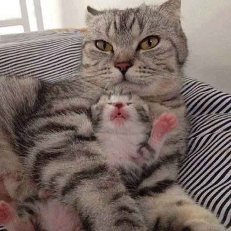 Another great mama and baby picture, I just can’t get enough of them!