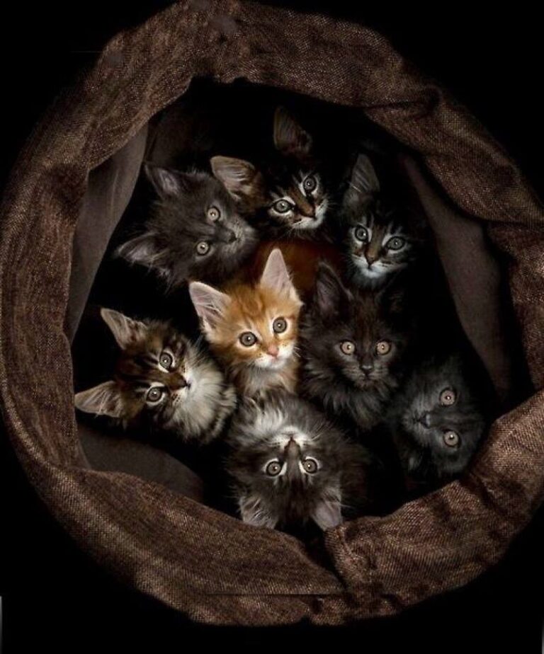 Awesome !! Which one do you want? All of them?