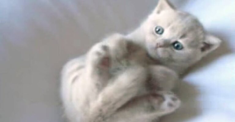 Baby Joe Joe is Adorable! Especially When Bathing Himself for the