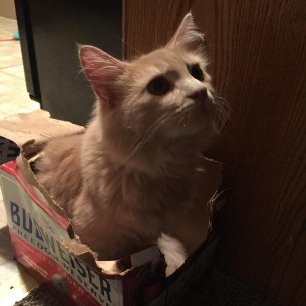 If I Fits!!