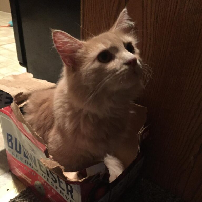 If I Fits!!