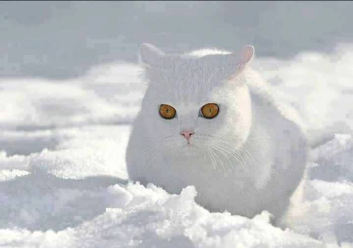 Just stunning!