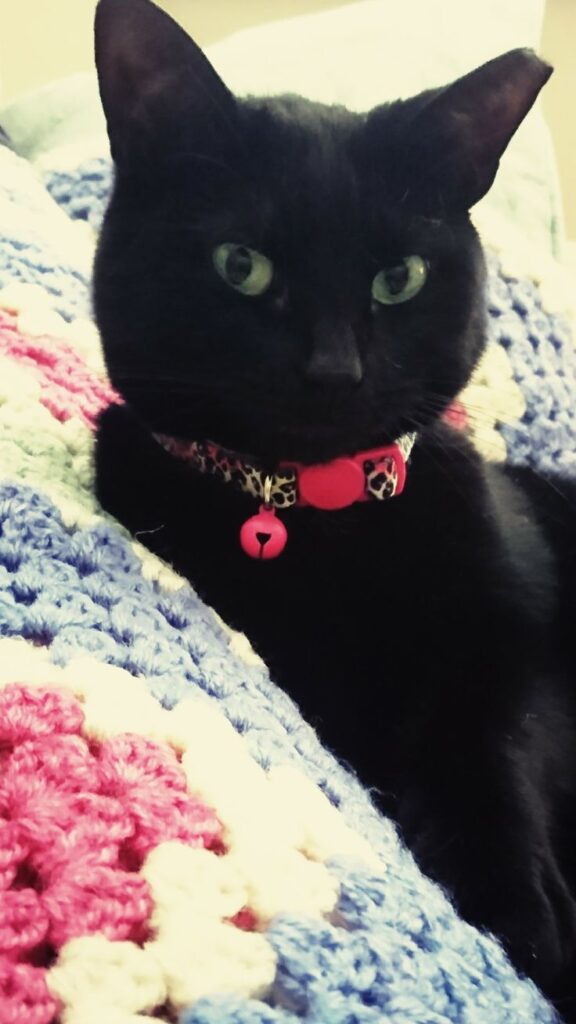 Little Rosie