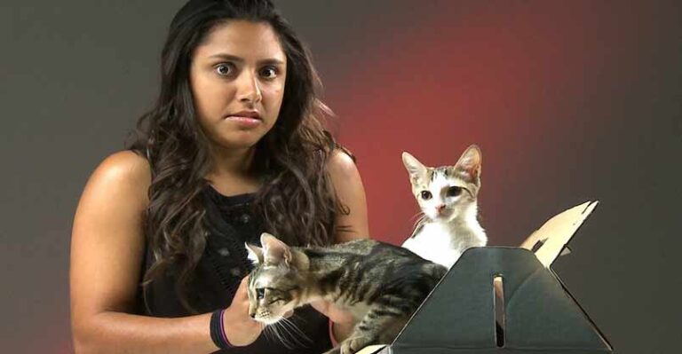 People Who Hate Cats Meet Kittens
