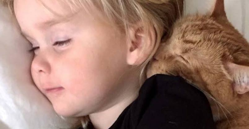 Senior Cat Loves These Little Girls More Than Anything – We Love Cats