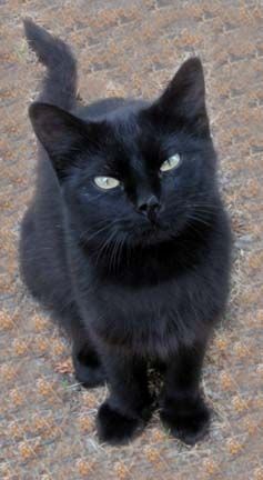 Sweet face.Love the way he`s looking into the camera….it certainly