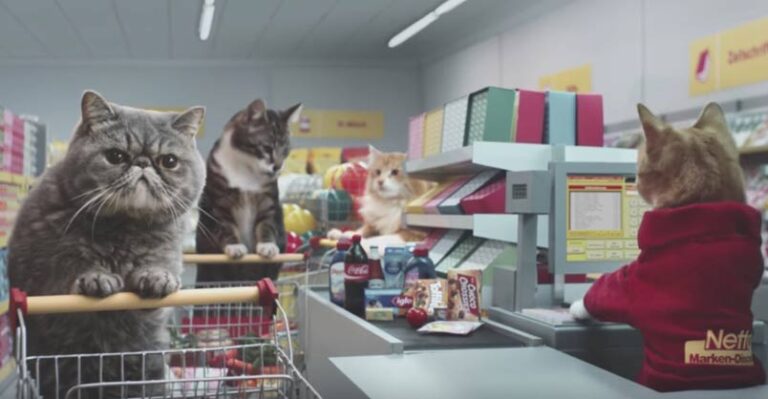 Wacky German Advert Features Cats Pushing Trolleys Around a