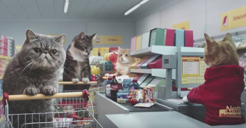 Wacky German Advert Features Cats Pushing Trolleys Around a