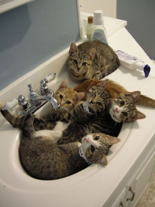 Well, yes, this is what we do all day while you’re gone, posted as