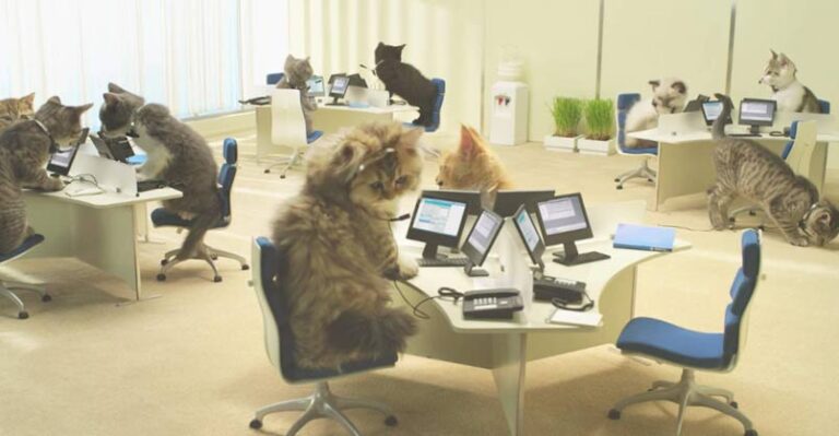 These Kittens at Work are Totally Adorable!