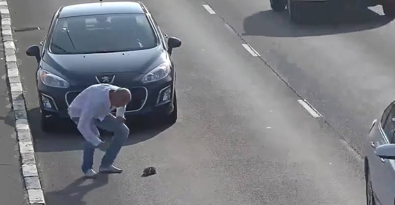 Man Stops His Car on Busy Road to Save a Kitten’s Life – We Love