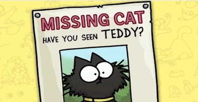 When Your Cat Goes Missing! – Simon’s Cat Logic – We Love Cats and