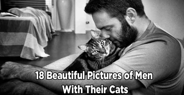 18 Beautiful Pictures of Men With Their Cats – We Love Cats and
