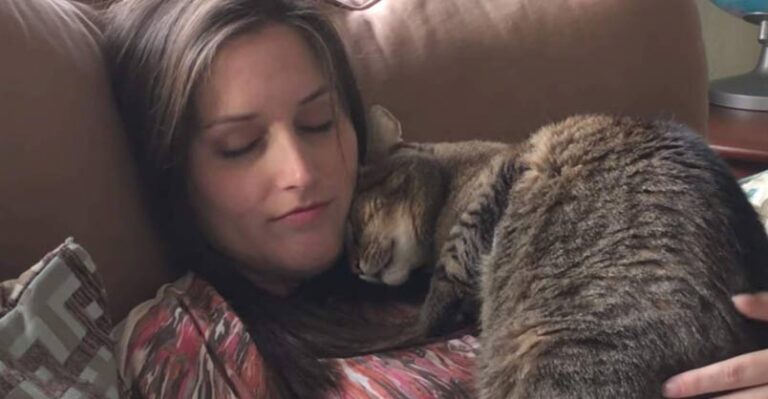 Our Cats Sense There’s Going to Be a New Arrival – We Love Cats and
