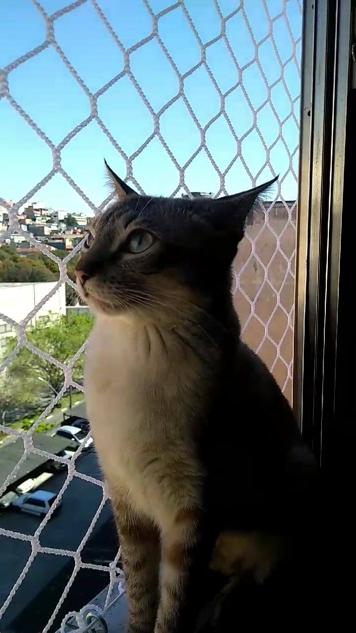 #sol sun