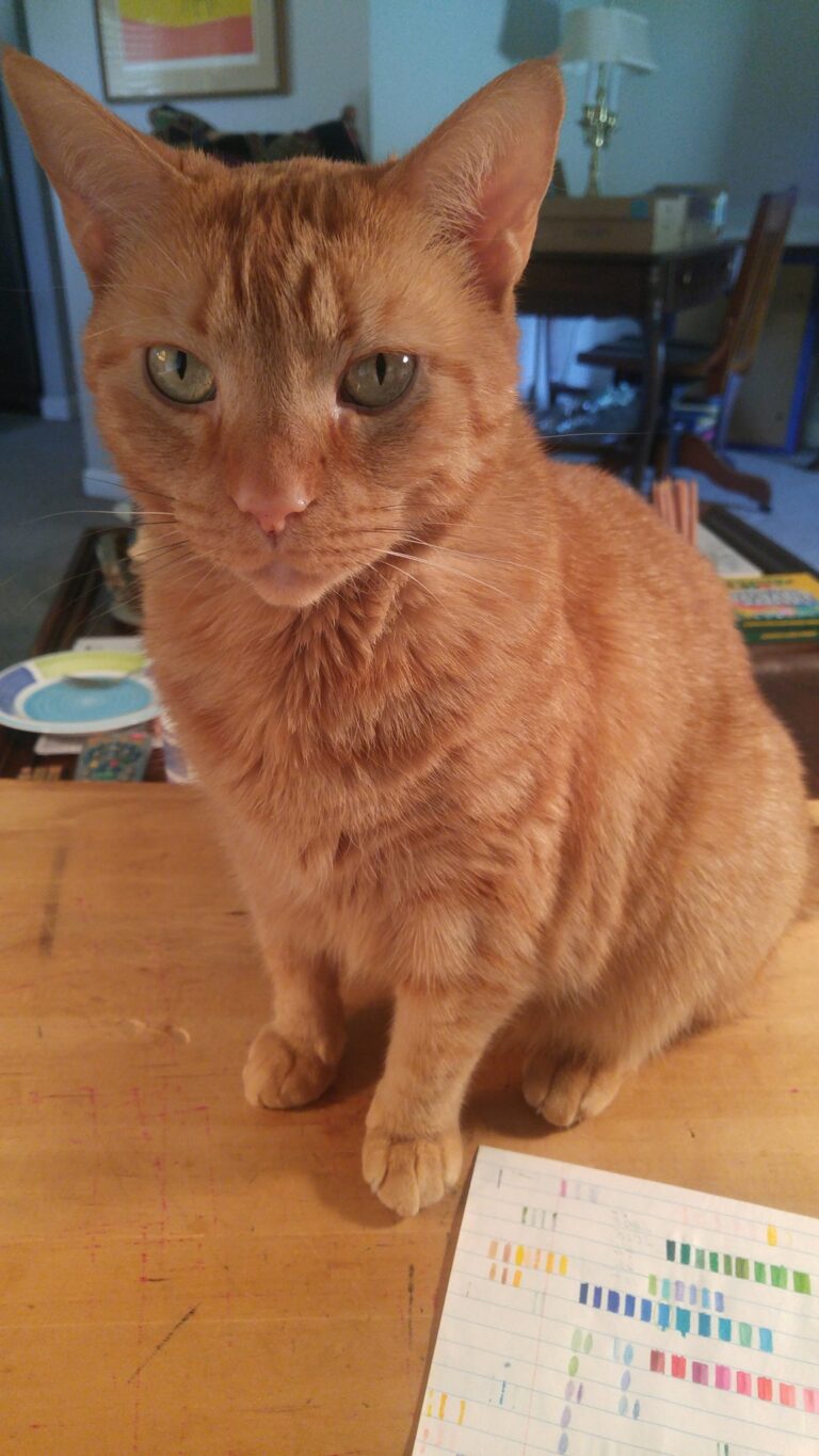 I think my female ginger has dry skin. She licks & scratches a lot & the