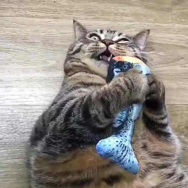 BIG CHUNK