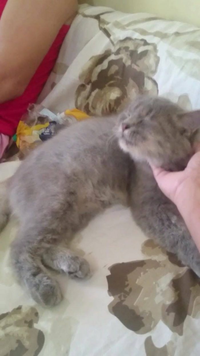 Thank you mom, I'm always pampered with your loving massage