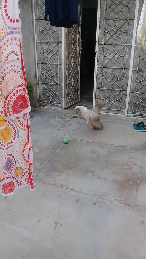 New guest...