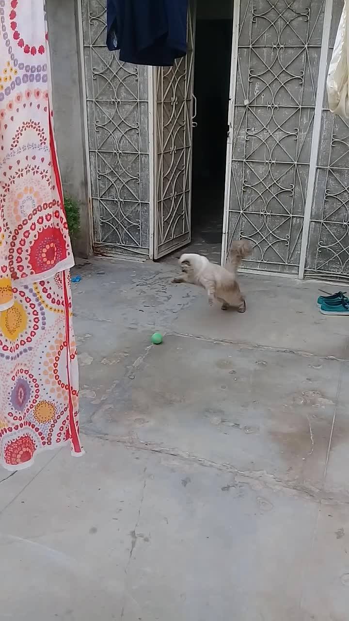 New guest...