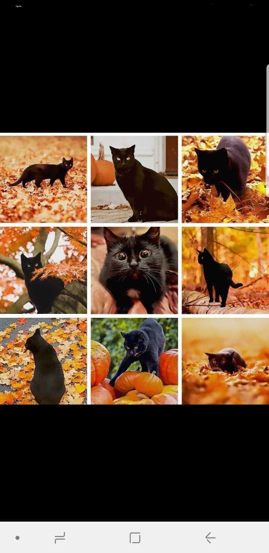 It's almost that time of year!!
