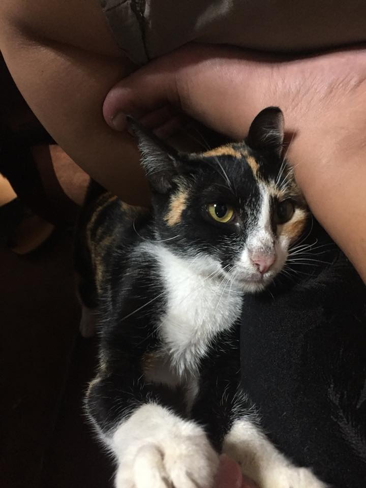 Am I cute?