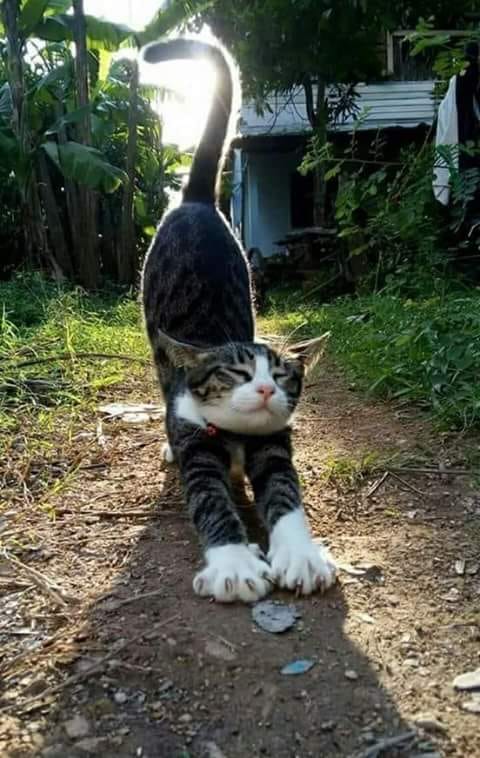 Wow....<3