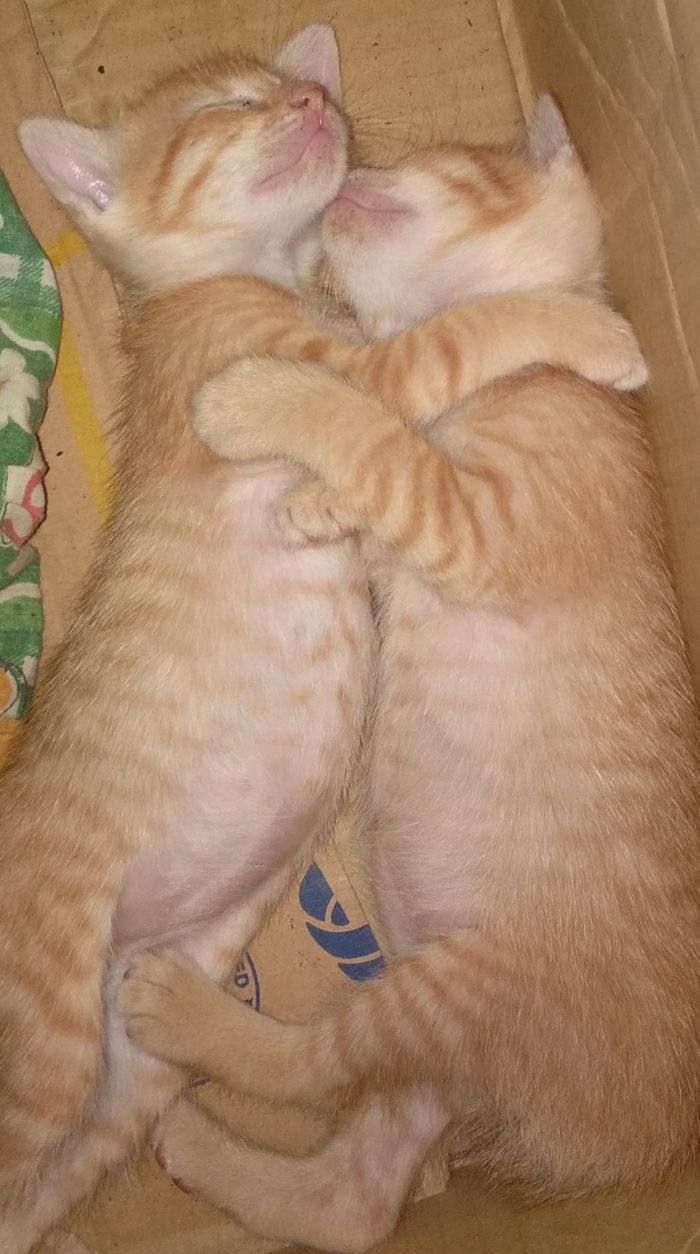 So sweet
