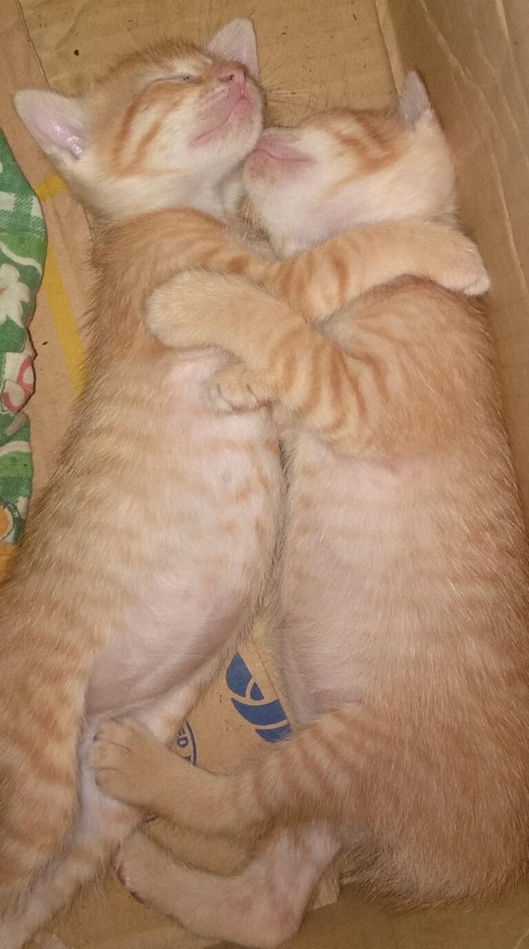 So sweet