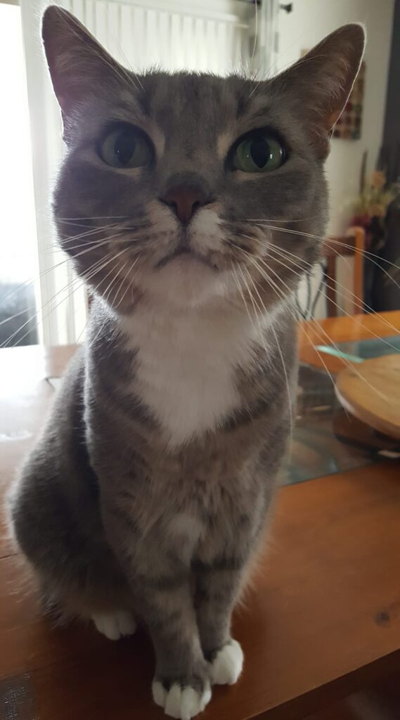 I thought this was a cute pic of my boy Timmy
