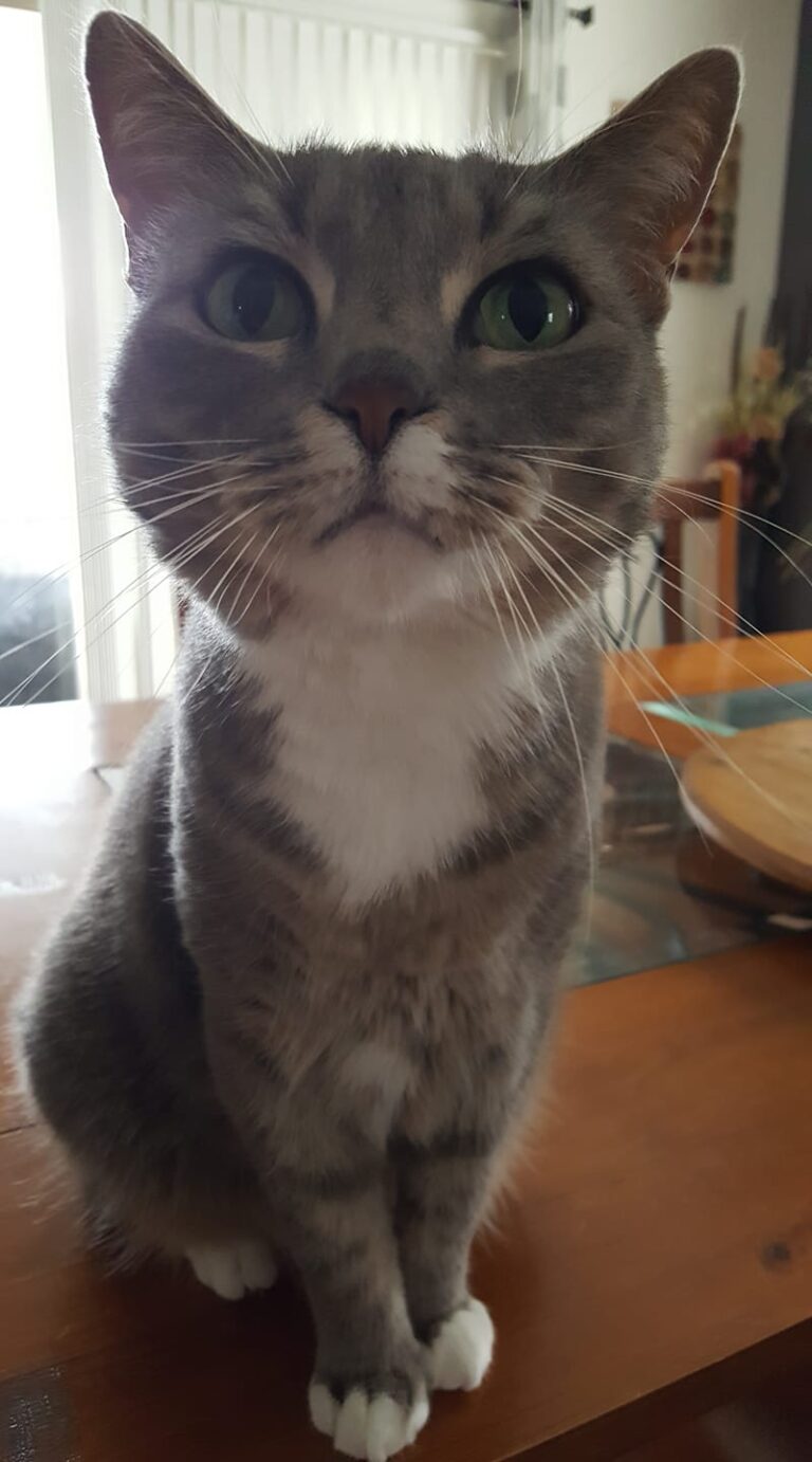 I thought this was a cute pic of my boy Timmy