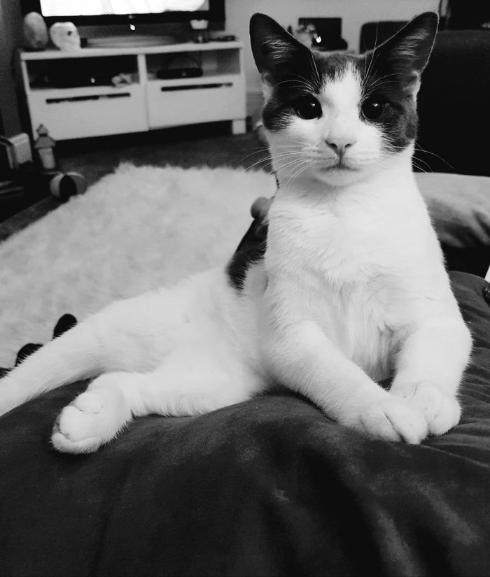 He just loves having his picture taken