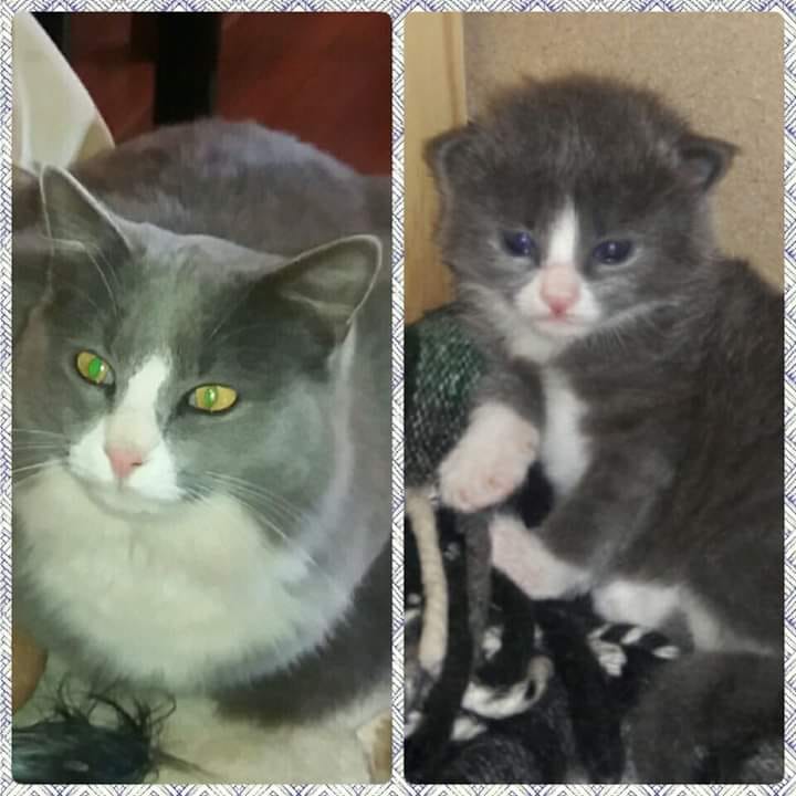 It's her second birthday