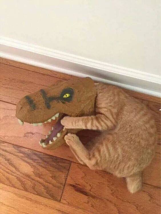 I'mma dragon