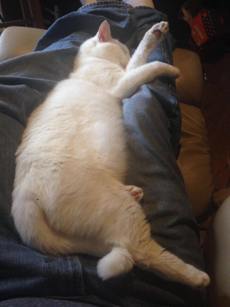 It's been hours now and Whitey doesn't care that my legs are num, I'm hungry and