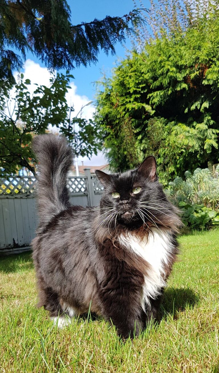 Isabelle posing for the camera.